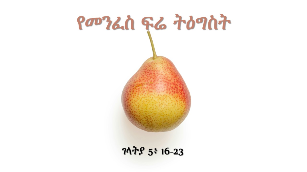 የመንፈስ ፍሬ ትዕግስ