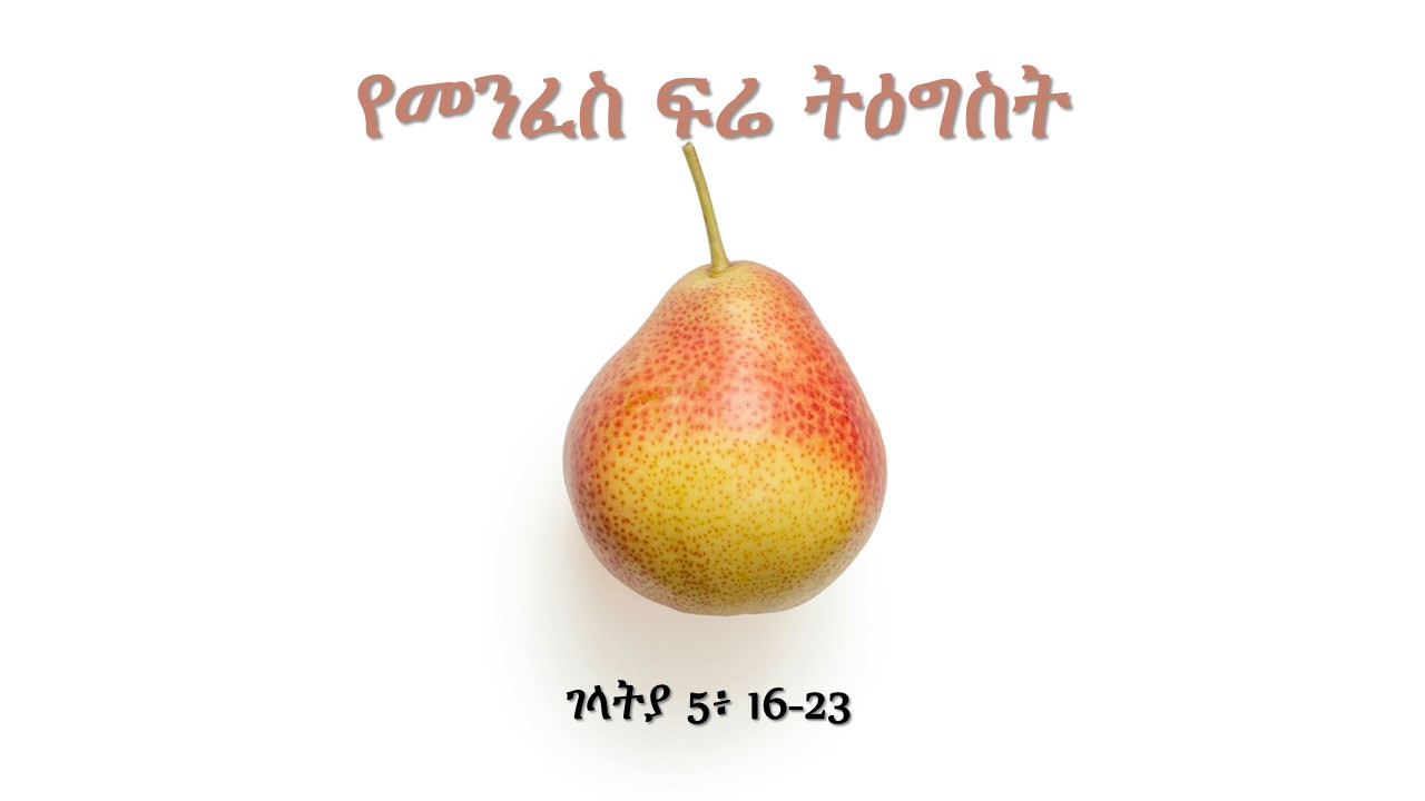 የመንፈስ ፍሬ ትዕግስ