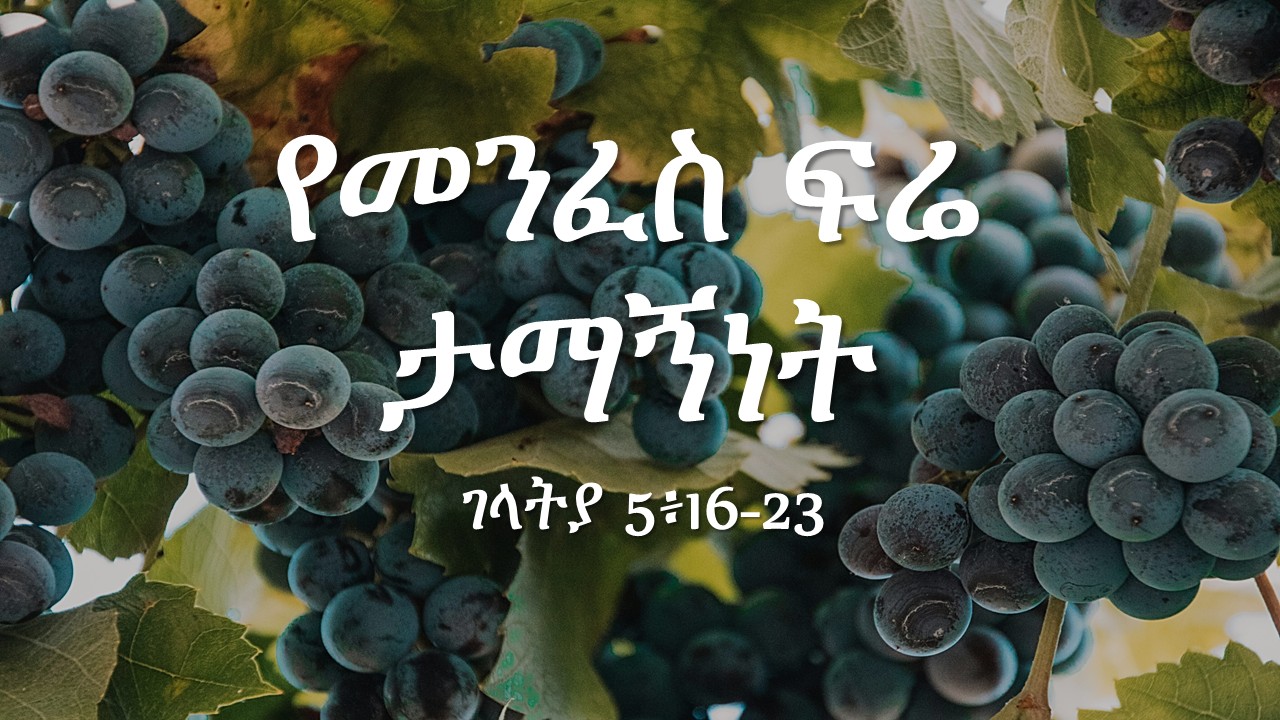 የመንፈስ ፍሬ ታማኝነት