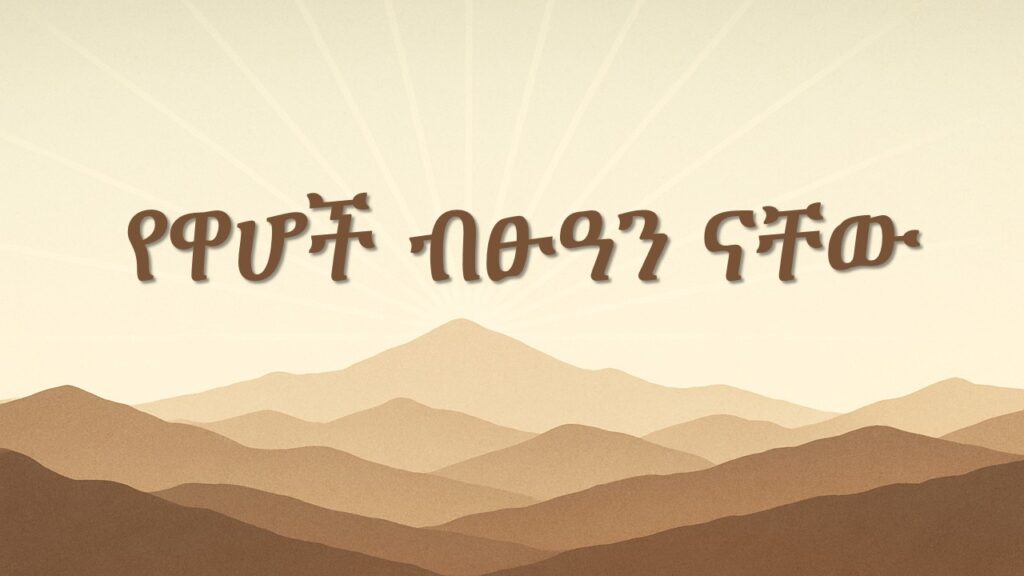 የዋሆች ብፁዓን ናቸው