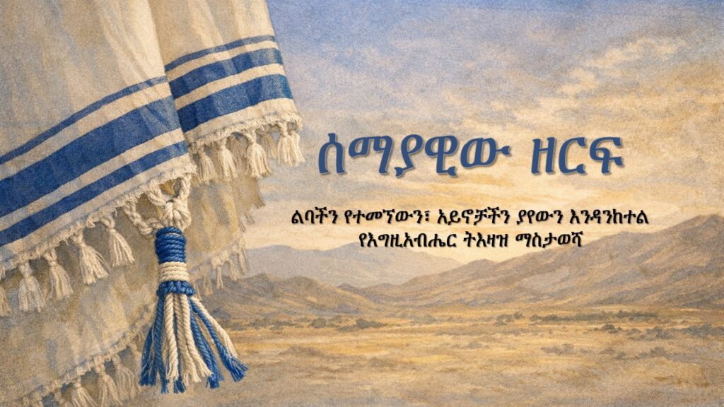 ሰማያዊው ዘርፍ